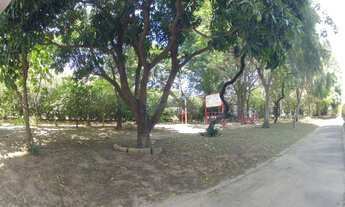 Imagem 2: Apartamento - Bonfim - Campinas