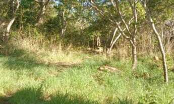 Imagem 1: Lotes perto de Pirenópolis ( capela do rio do peixe