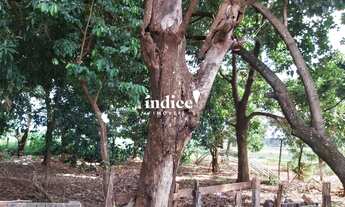 Imagem 2: Terrenos Bairro à venda Parque São Paulo (Vila Xavier) Araraquara