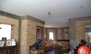 Imagem 3: São Paulo - Casa Padrão - Tatuapé