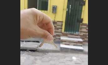 Imagem: ALUGO QUARTO EM SAO BRÁS