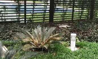 Imagem 7: Alugo apartamento no Espinheiro com 3 quartos nascente, prédio novo