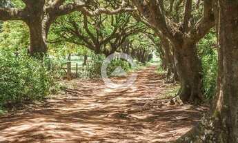 Imagem 3: Terreno - Tanquinho Velho - Jaguariúna