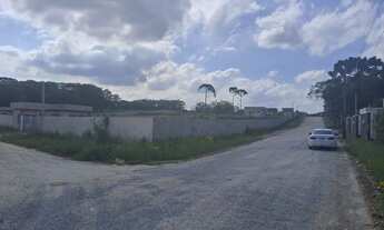 Imagem 2: Terrenos @@AtubaColombo##@Terrenos