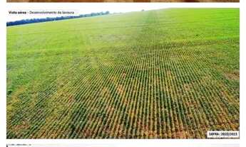 Imagem 5: Fazenda 6.402 hec em nova motum MT. 150 milhões