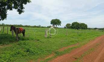 Imagem 3: PROPRIEDADE PRODUZINDO - 70 KM DE CUIABÁ