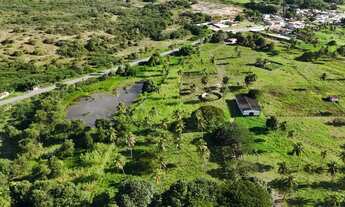 Imagem 4: Fazenda com 50 hectares na região de São Gonçalo do Amarante cortada pelo rio Potengi