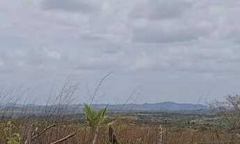 Imagem 2: Terreno em Serrinha-Ba