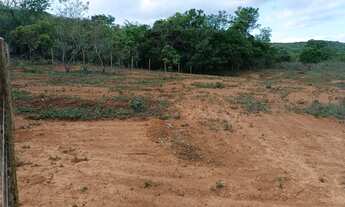 Imagem 4: Vendo chácara de 1500 metros toda cercada com energia (pego carro pego moto