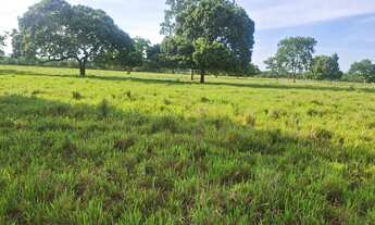 Imagem 3: Linda fazenda de 266 hectares...a 6.600.000,00