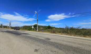 Imagem 4: VENDO ÁREA COM 37.750,00M² NA RODOVIA SE-100 - BARRA DOS COQUEIROS