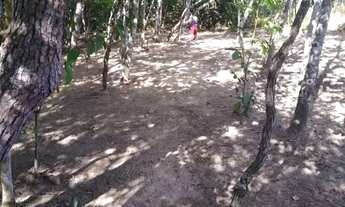 Imagem 5: Chácara com Rio no fundo