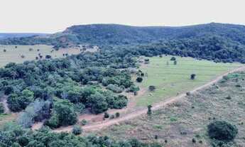 Imagem 4: Fazenda de 357 hectares na região da cidade de Tangará da Serra no estado do mat