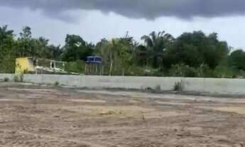 Imagem 4: Alugo Terreno no Tarumã - 100x50m Murado com portão de ferro Rua do Crematório