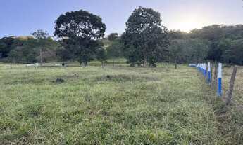 Imagem 4: Sítio em Itapuranga