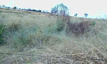 Imagem 5: Chacara para venda 3,5 alqueires em Zona Rural - Itaberaí - GO