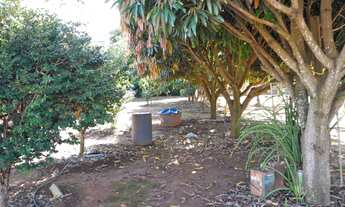 Imagem 6: Chácara 7.500m2 com Casa 3/4 a 40 km de Goiânia!