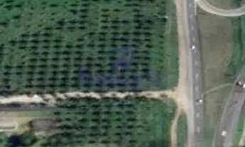 Imagem: Área, Centro, Amélia Rodrigues - R$ 4