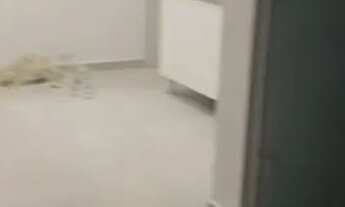 Imagem 4: Kitnet Studio Quarto com aluguel por R$1.350 /mês