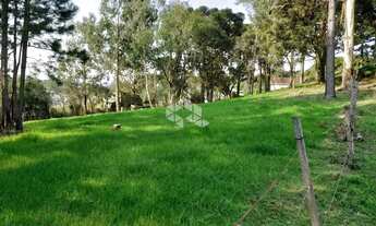 Imagem 11: Vendo chácara com 2 casa e muitas árvores frutíferas na Parada Crístal em Caxias do Sul