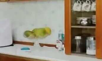 Imagem 3: Imóvel para venda com 182 metros quadrados com 3 quartos em Centro - Nilópolis - RJ