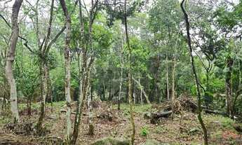 Imagem 6: Amplo terreno à venda no bairro Ratones, Florianópolis/SC