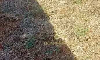 Imagem 4: Terreno à venda, 250 m² por R$ 135.000,00 - Jardim Esmeralda - Araraquara/SP