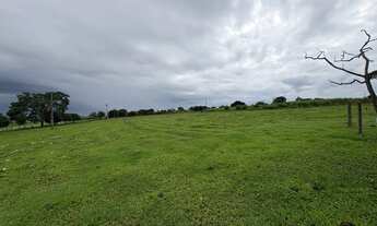 Imagem 2: VENDE SE OU TROCA ESSE SÍTIO EM CAJURU SÃO PAULO