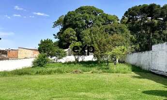 Imagem 5: Terreno Gigante em Piraquara