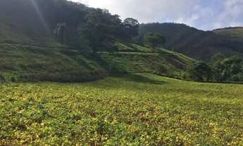 Imagem 7: Fazenda 208 Hectares. Ponte Nova / Barra Longa