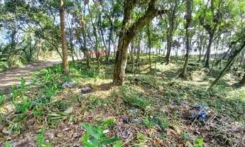 Imagem 6: Lotes à partir de 251m2 boa topografia Escritura e Iptu Parque America Rio Grande da Serra