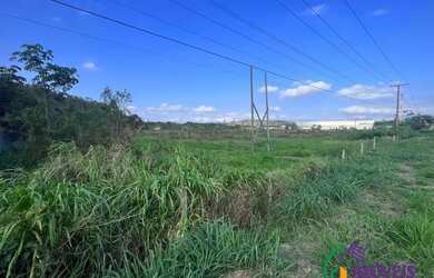 Imagem 6: AREA - RESSACA - SP