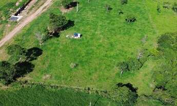 Imagem 4: Vendo Fazenda em Alexânia 11,3 Alqueires