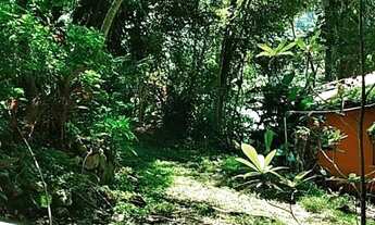 Imagem 6: Alugo casa com piscina e terreno de 2.600 m2 em local nobre com excelente vizinhança