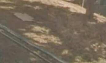 Imagem 4: Aluga-se está casa