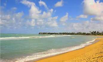 Imagem: Oportunidade Casa Praia Tabuba - Barra sant