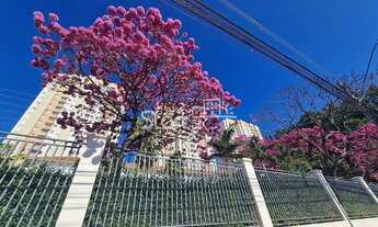 Imagem: Apartamento locação Patéo Abolição