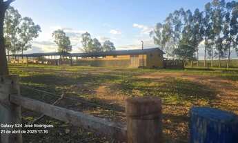 Imagem 2: Vende Fazenda em Buenópolis - MG