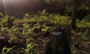 Imagem 6: Sítio.!! st426 Chácara com venda por R$280.000