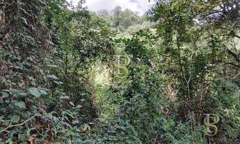 Imagem 4: Terreno à venda - 5000m² - com Escritura - Mairiporã/SP