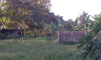 Imagem 4: Fazenda/Sítio/Chácara para venda com 6400 m2 em cocuera