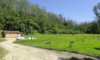 Imagem 7: Ótima Área Para Investidor