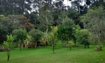 Imagem 2: Sítio completo no bairro Gabriel Piza em São Roque