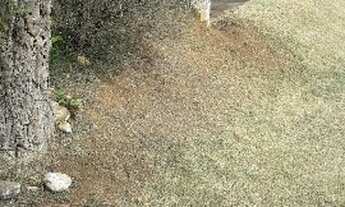 Imagem 6: VENDA - CASA CONDOMÍNIO CONDOMINIO SAINT CHARBEL / ARAÇOIABA DA SERRA/SP