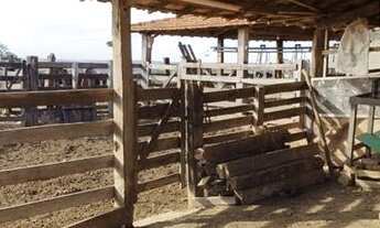 Imagem 7: Sítios à venda em Tietê/SP - Compre o seu sítios aqui!