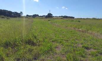 Imagem 3: Área plana c/ leve aclive, medindo 23.300m², próx a cidade. Ótimo para industrias.(AR0001