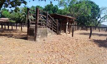 Imagem 6: Fazenda em Dois Irmãos