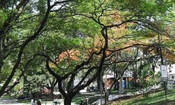 Imagem 2: Apto. Praça Duque de Caxias Centro de Osasco
