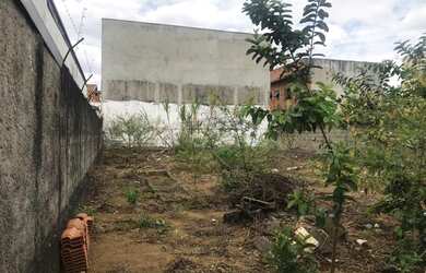 Imagem 3: Lote/Terreno 100% Plano no Bosque do Ipês com 150 metros quadrados