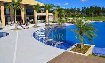 Imagem: HARAS PATENTE - Ótimo lote escolhido entre